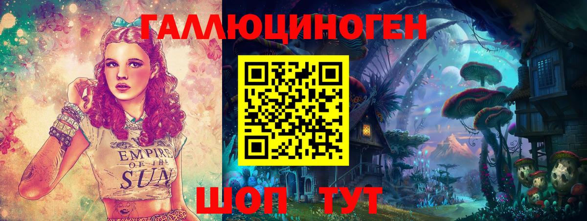 Псилоцибиновые грибы Psilocybe  Галлюциногенные грибы прущие грибы  Конаково  Вход с VPN 